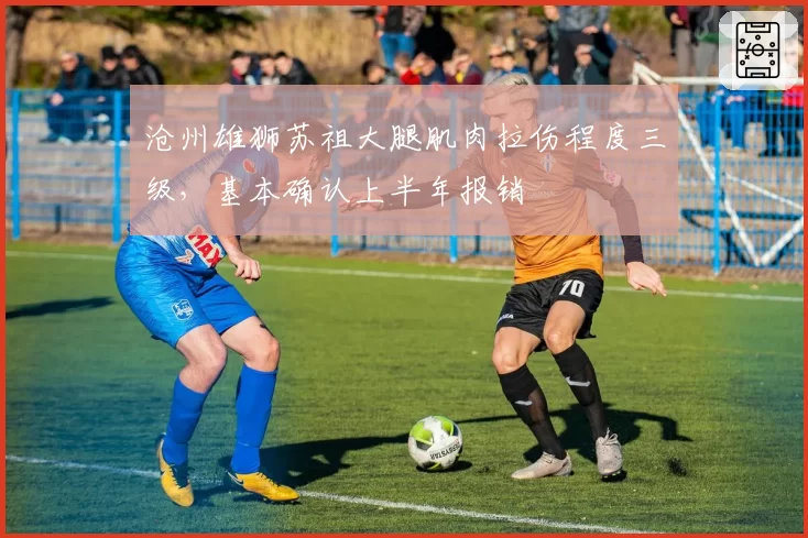 沧州雄狮苏祖大腿肌肉拉伤程度三级，基本确认上半年报销